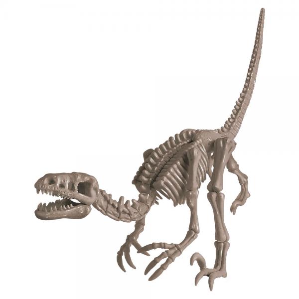 Dig a Dinosaur Skeleton Udgravningsst Velociraptor