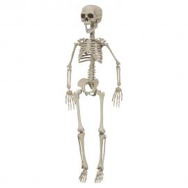 Hængende Skelet Dekoration 76 cm