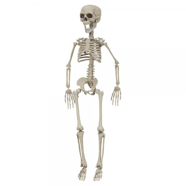 Hngende Skelet Dekoration 76 cm