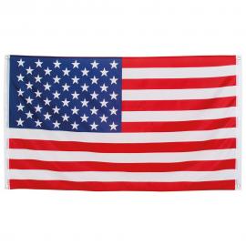 American Party Flag