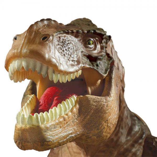 T-Rex Projektor og Drmand
