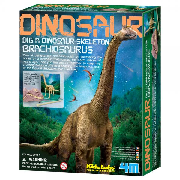 Brachiosaurus Skelet Udgravningsst