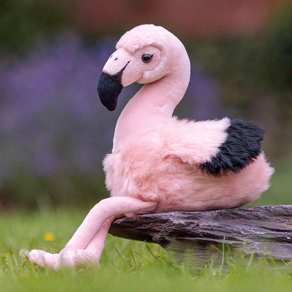Flamingo Tjdyr Animigos