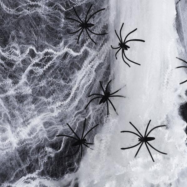 Spindelvv med Sorte Edderkopper