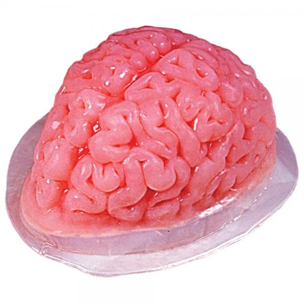 Gelatineform Hjerne