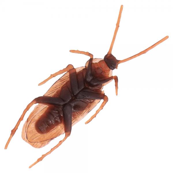 Brune Kakerlakker