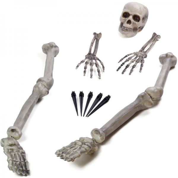Halloween Dekoration Skelet