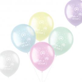 Latexballoner Pastel Make A Wish