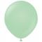 Premium Store Latexballoner Macaron Green