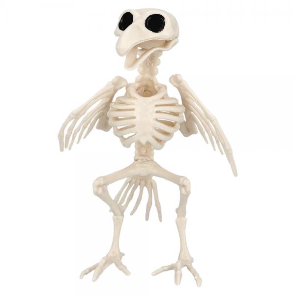 Skelet Dekoration Fugl