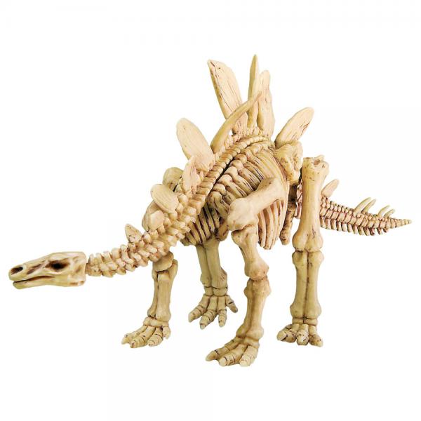 Stegosaurus Skelet Udgravningsst