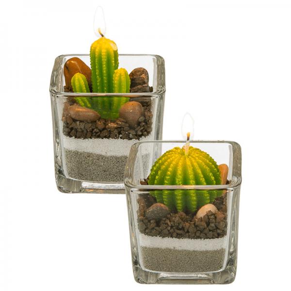 Kaktuslys med Sten