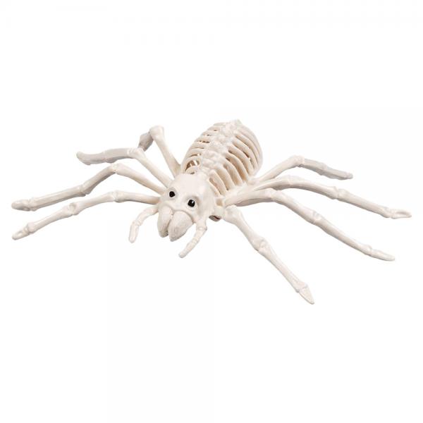 Skelet Dekoration Edderkop