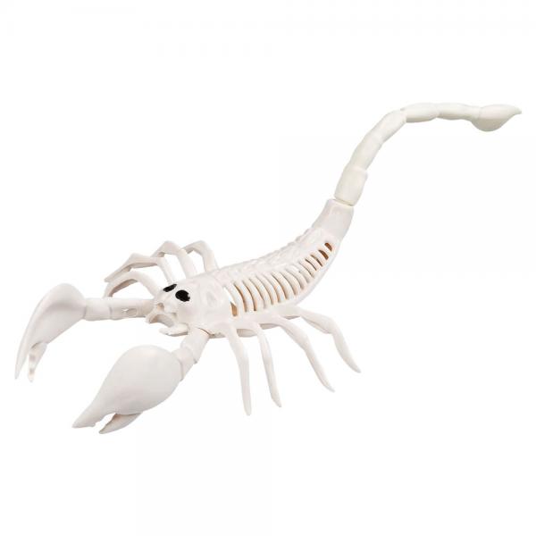 Skelet Dekoration Scorpion