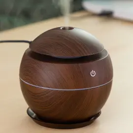 Mini Luftfugter