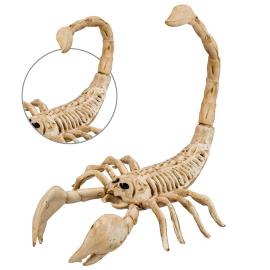 Skorpion Skelet Prop