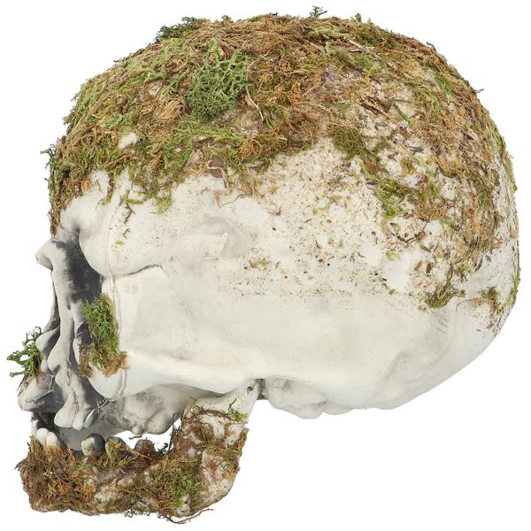 Dødningehoved med Mos Dekoration 19 cm