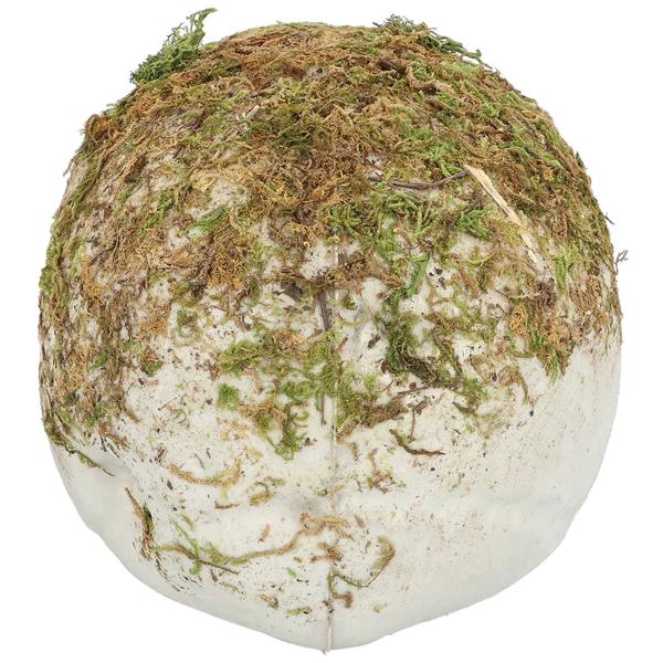 Dødningehoved med Mos Dekoration 19 cm