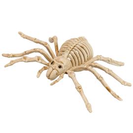 Edderkop Skelet Dekoration