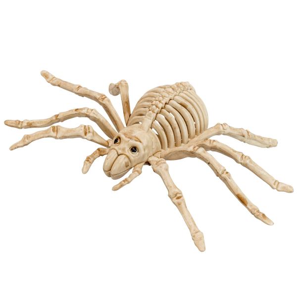 Edderkop Skelet Dekoration