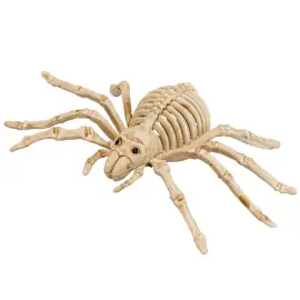 Edderkop Skelet Dekoration