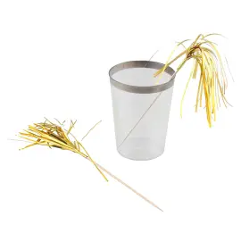 Party Picks Lange med Frynser Guld