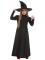 Wicked Witch Børnekostume