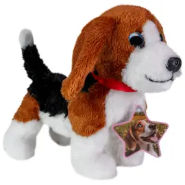 T&oslash;jdyr Beagle Hund