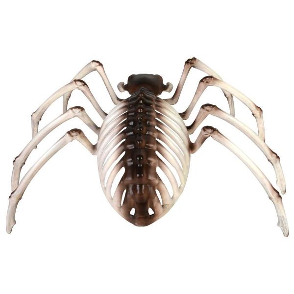 Edderkopskelet Dekoration