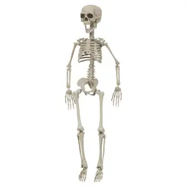 H&aelig;ngende Skelet Dekoration 76 cm