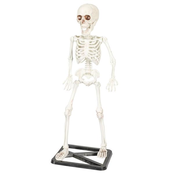 Stående Skelet Dekoration