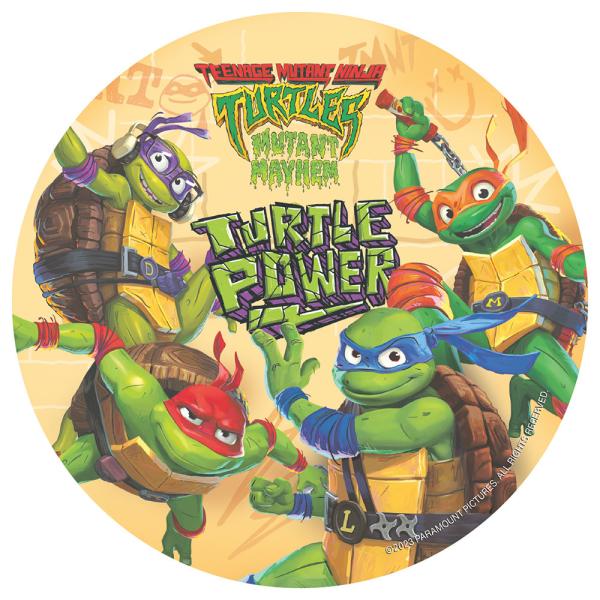 Kagebillede Ninja Turtles