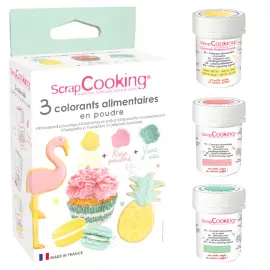 Pulverfarve Sæt Pale ScrapCooking
