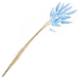 Tørrede Harehaler Blå 25-pak