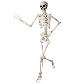 Bøjeligt Skelet Prop 150 cm