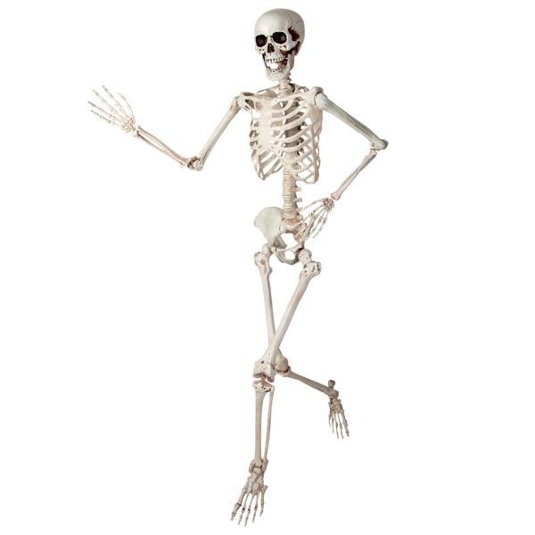 Bøjeligt Skelet Prop 150 cm