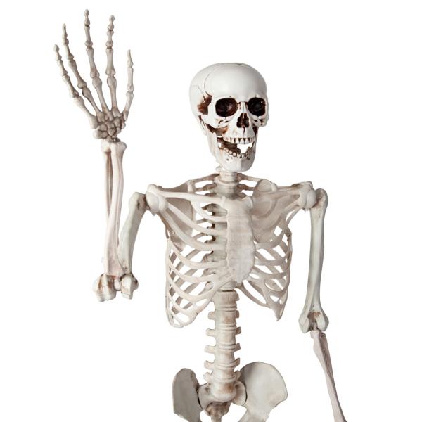 Bøjeligt Skelet Prop 150 cm