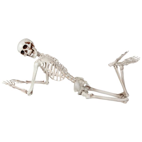 Bøjeligt Skelet Prop 150 cm