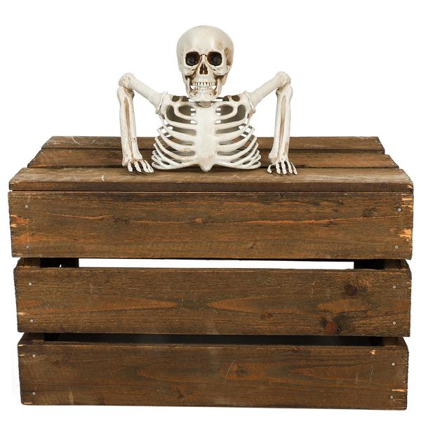 Dekoration Skelet Gennem Jorden