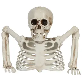 Dekoration Skelet Gennem Jorden