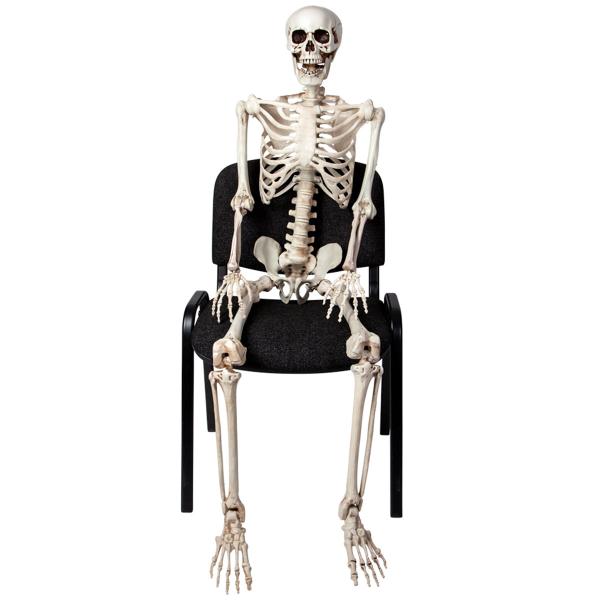 Bøjeligt Skelet Prop 150 cm