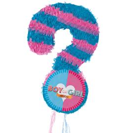 Pinata Gender Reveal Boy or Girl