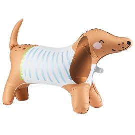 Vandrende Dachshund Folieballon & Hundekort