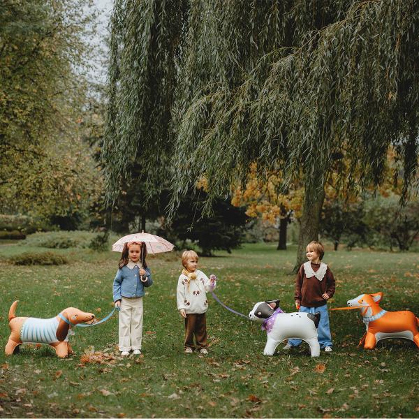 Vandrende Dachshund Folieballon & Hundekort