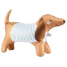 Vandrende Dachshund Folieballon & Hundekort