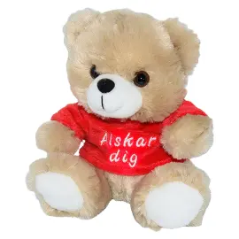 Bamse med Sweater Älskar Dig