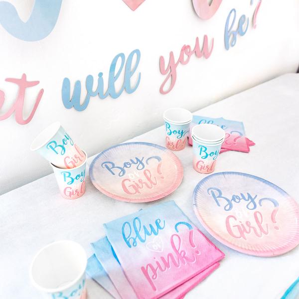 Babyshower Sæt Boy or Girl 35-pak