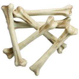 Dekoration Skeletknogler