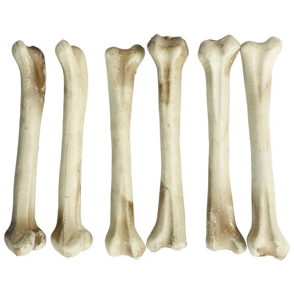 Dekoration Skeletknogler