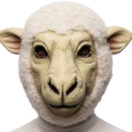 F&aring;remaske